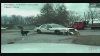 Evil Racist Terrorist Tea Party Dogs attack Police Car Domestic over Obamacare