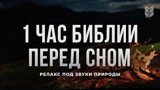 1 час Библии перед сном. Современный перевод Библии #biblevision