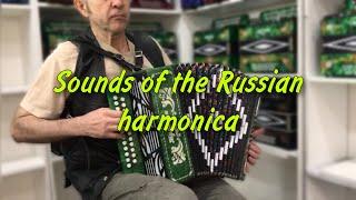 Cheerful melody on the harmonica  Sounds of the Russian harmonica