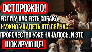 Вот что Нострадамус предсказал для тех, у кого дома есть собака: шокирующие пророчества и духовность