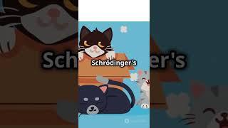 Schrödinger equation within 60 seconds || SCHRODINGER EQUATION || QUANTUM PHYSICS