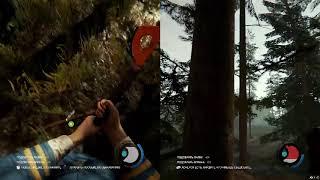 The Forest split screen PC mod coop  Играть вдвоем на одном ПК Nucleus Coop Mod