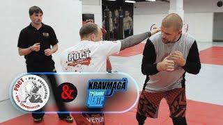 Самооборона. Территория Крав-Мага. KMG & MMA: Стойка