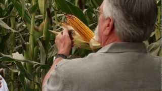 Porterville College Agriculture Program