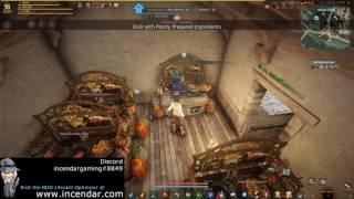 FAST Power Leveling CP XP Contribtuion Points Cooking or Alchemy UPDATE Black Desert Online 1080p