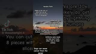 Random facts #sunset #sun #facts #fypシ゚viral #shorts #shortsbyzeena #getzeenato2k