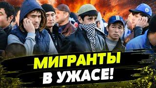 "Все мигранты должны УМЕРЕТЬ ЗА РФ!" Новые законы ПУТИНА пугают ВСЕХ!