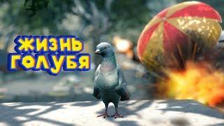 СИМУЛЯТОР ВРЕДНОГО ГОЛУБЯ Pigeon Simulator