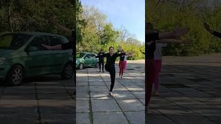 Весело делаем махи #цигун #ушу #кунгфу #wushu #kungfu #武术 #功夫