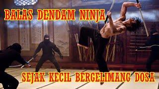 PEMBALASAN NINJA PEMBUNUH PALING KEJAM DAN MEMATIKAN,  Alur Cerita Film NINJA ASSASSIN