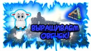 ARK: Survival Evolved! Выращиваем овечек!