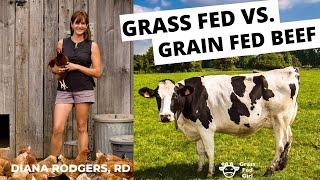 Carnivore diet: grass fed beef vs grain fed beef debate with Diana Rodgers, RD, Meatless Monday lies