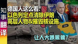 德媒及德网民这么看: 小椅子对待波斯猫 | 德国人的观点让人大跌眼镜？