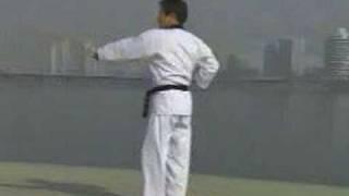 1. Taekwondo Poomsae Taegeuk Il Jang (WTF)