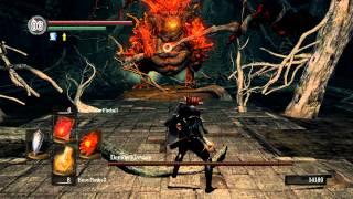 Dark Souls - Pure Pyromancer: Demon Firesage is the Opposite of Immune to Fire