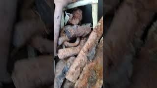 честные деньги на металлокопе