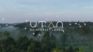 Utan Rainforest Lodge, Sabah, Malaysian Borneo