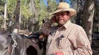 Preparing Horses for Trail Rides