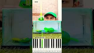 SUPER VINERIA EVOLUTION SPRUNKI SMALLEST AND BIGGEST @divertidosito - Piano Tutorial