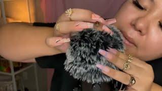 ASMR Bug Searching and Plucking