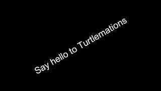 Say hello to Turtlemations ecks dee