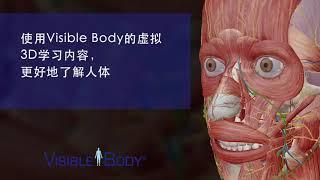 Visible Body | 您的交互式A&P库解决方案