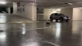 Speed run +perfect power parking