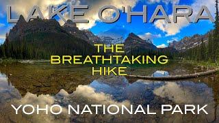 The Breathtaking Hike: Lake O'Hara's Lower Alpine Route