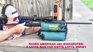 Affordable 243 Bolt Action Rifles from Ruger, Stevens, Weatherby, and Savage