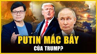 SAI LẦM CHÍ MẠNG CỦA PUTIN, VƯỚNG BẪY TRUMP NẾU KHÔNG CHẤP NHẬN HÒA ĐÀM