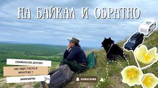 На Байкал и обратно | Часть 3: Окаменелое дерево, шихан Торатау и дорожные истории.