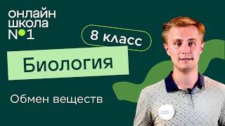 Понятие об обмене веществ. Видеоурок 20. Биология 8 класс