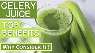 Top Benefits of Celery Juice, Why Consider It?