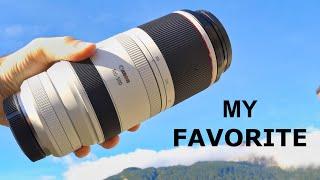 Canon RF100-500 F4.5-7.1 L IS USM review (with photos and videos samples)