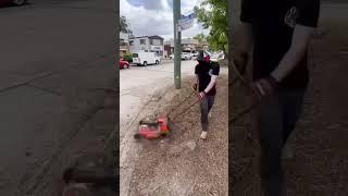 Nothing Was Stronger Than This Mower  #satisfying #asmrvideos #lawncare