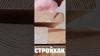 Тестируем Саморез для террас из нерж.стали Gwozdeck 5х80/ DIY / #shorts