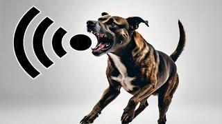 Dog Barking | Dog Barking Sound Effect | Kutte Ki Awaaz