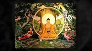 I AM Buddha - I AM University