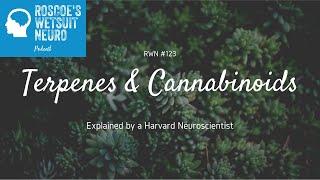 A Neuroscientist Explains Terpenes & Cannabinoids w/ Nick Jikomes, PhD.