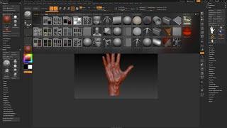 Getting Started with ZBrush, Part 8 - Starting a New Project