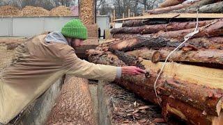 From Logs to Chips: A Masterclass in Woodworking.