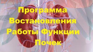 Программа Восстановления Работы Функции Почек 2020