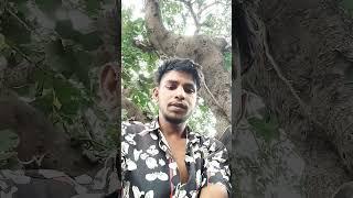 https://youtube.com/shorts/wnWSVSpTrUE?si=nhrMcLJZcXapuH_y