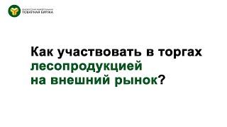 Как участвовать в торгах лесопродукцией на внешний рынок