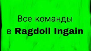 Все команды в Ragdoll engain