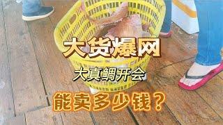 7000米渔网的最后一网大货爆网，直接返航回去卖鱼，看能卖多少钱