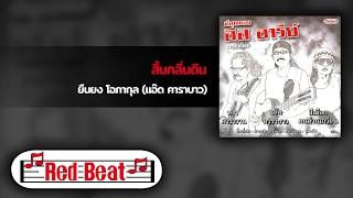 สิ้นกลิ่นดิน - ยืนยง โอภากุล (แอ๊ด คาราบาว) [OFFICIAL AUDIO]