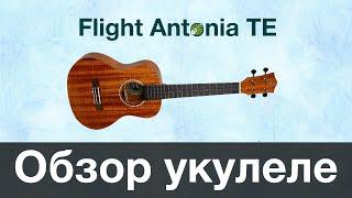 Обзор FLIGHT Antonia TE УКУЛЕЛЕ ТЕНОР купить или нет?