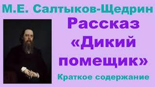 М.Е. Салтыков-Щедрин. Рассказ «Дикий помещик». Краткое содержание.