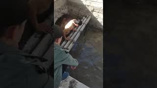 Рыбалка в городе Нукус видео 2 #нукус #shortsvideo #shorts #fishing #shortvideo